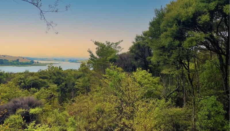 Lot 2, 239 Rangiora Road, Kaiwaka