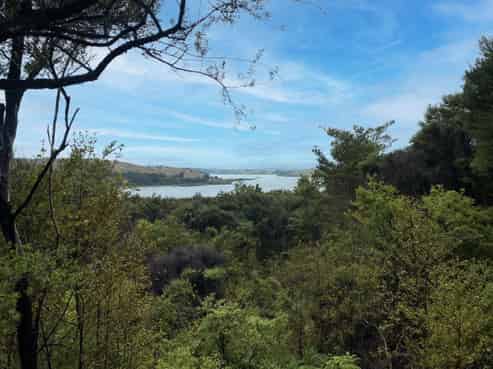 Lot 2, 239 Rangiora Road, Kaiwaka