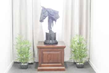 6 Unit (Investment) Property