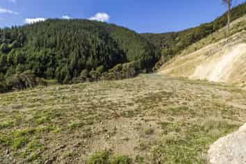 44 Komako Way, Atawhai