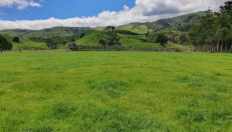116 Hill Road, Te Aroha