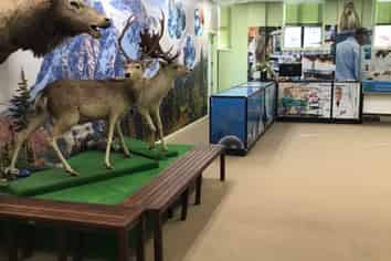 Remarkables Park Shopping Complex – Office