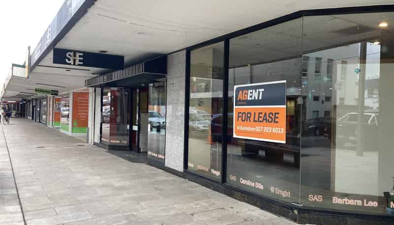 164 High Street, Central Hutt