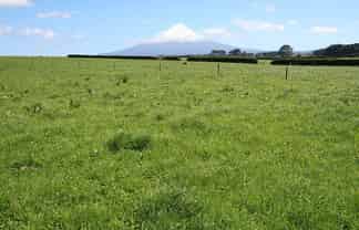 544 Eltham Road, Mangatoki