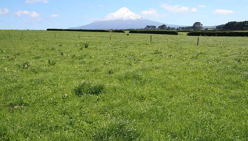 544 Eltham Road, Mangatoki