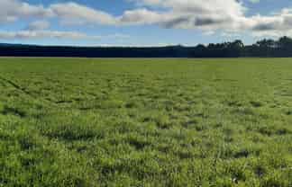  Bluff Hill Road, Herbert