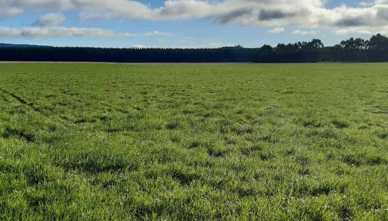  Bluff Hill Road, Herbert