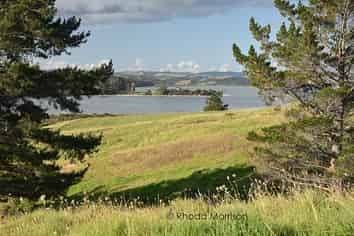 21 Matahehe Lane, Tinopai