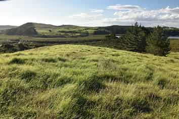 21 Matahehe Lane, Tinopai