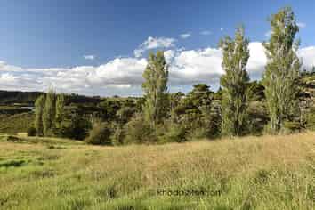 21 Matahehe Lane, Tinopai