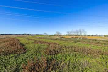 Auckland - Address withheld