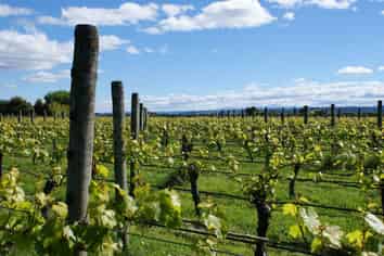 108 McShane Road, Richmond, Nelson City