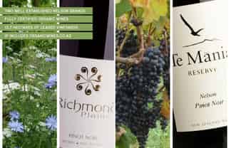 108 McShane Road, Richmond, Nelson City