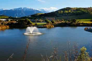 Beat Covid -  Trading Superbly