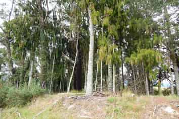 Lot 3 Rimu Terrace, Buller Surrounds