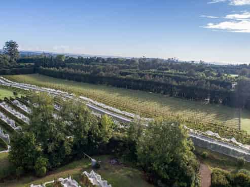 56 Wiroa Road, Kerikeri