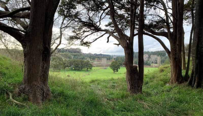 Lot 6 Porewa Road, Marton