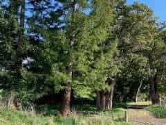 Lot 6 Porewa Road, Marton