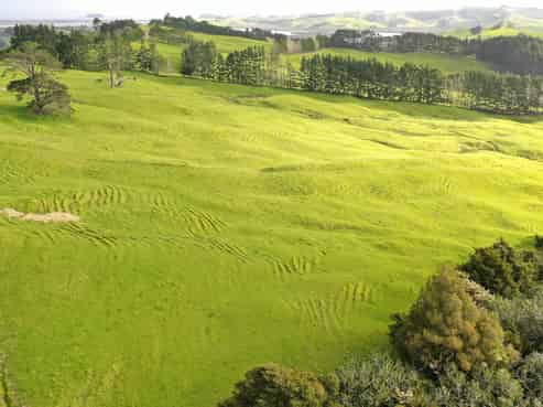 Lot 1/421 Wharehine Road, Wharehine