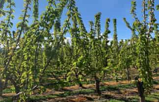  Luggate Cromwell Road, 