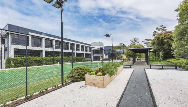 17 Hargreaves Street, Freemans Bay