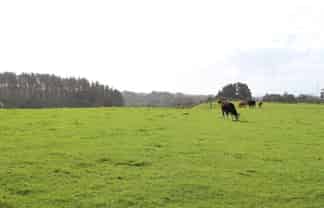 Lot 5/590 Mangorei Road, 