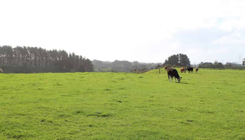 Lot 5/590 Mangorei Road, 