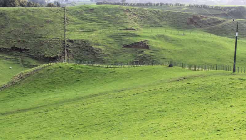 Lot 6/592 Mangorei Road, 