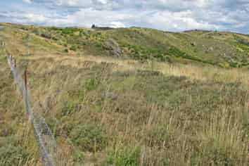  McIntosh Road, Ida Valley, Alexandra