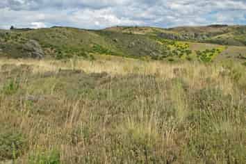 McIntosh Road, Ida Valley, Alexandra