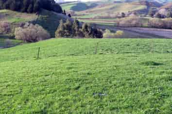 1629 Weston-Ngapara Road, Oamaru