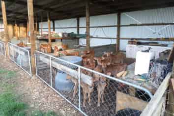 1629 Weston-Ngapara Road, Oamaru