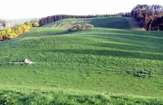 1629 Weston-Ngapara Road, Oamaru