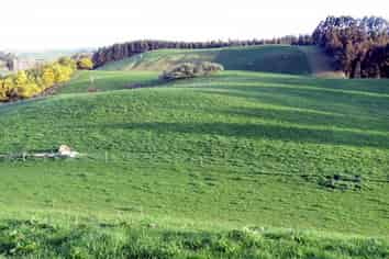 1629 Weston-Ngapara Road, Oamaru