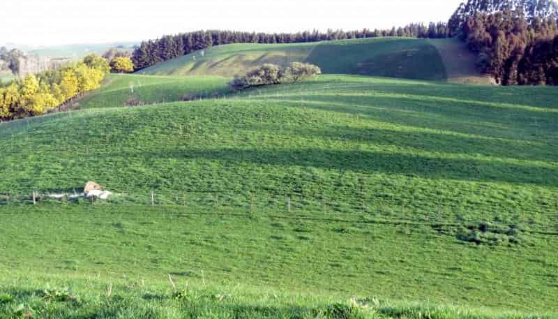 1629 Weston-Ngapara Road, Oamaru