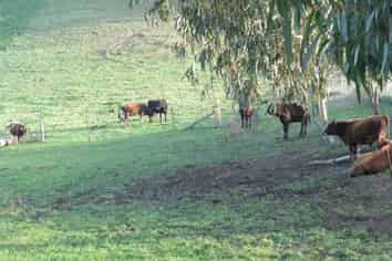 1629 Weston-Ngapara Road, Oamaru