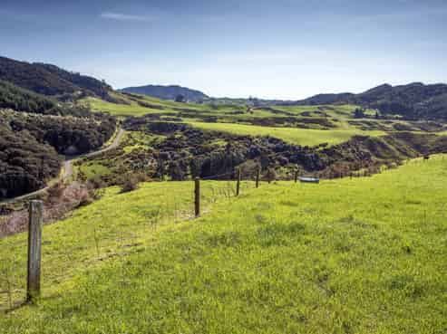 185B Gaskill Road, Opotiki and Surrounds