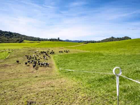 185B Gaskill Road, Opotiki and Surrounds