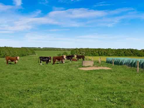 2585 South Road, Manaia