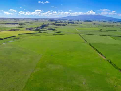 2585 South Road, Manaia