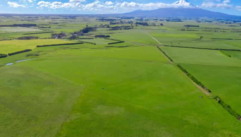 2585 South Road, Manaia