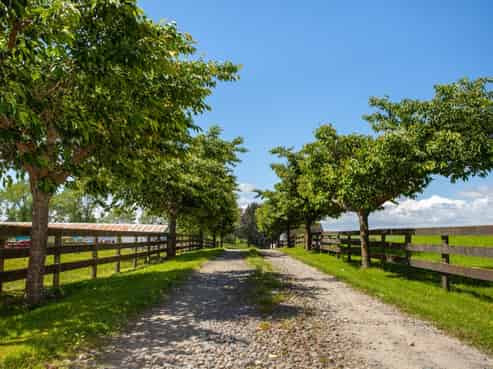 3069 Old Taupo Road, Tokoroa
