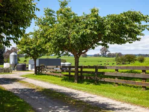 3069 Old Taupo Road, Tokoroa