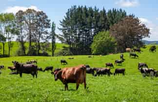 3069 Old Taupo Road, Tokoroa
