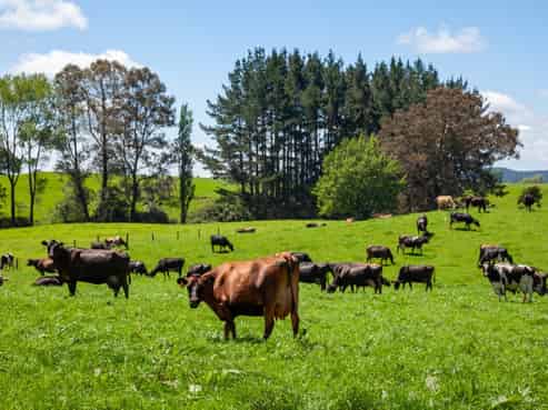 3069 Old Taupo Road, Tokoroa