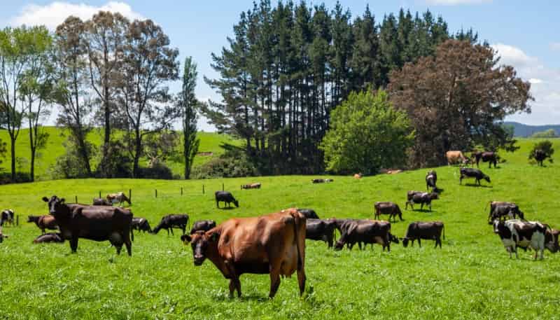 3069 Old Taupo Road, Tokoroa