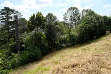 27A Cape Horn Road, Mount Roskill