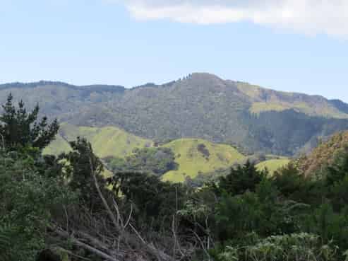154 Wood Road, Coromandel Coast
