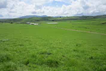 180 Manuel Road, Morrinsville