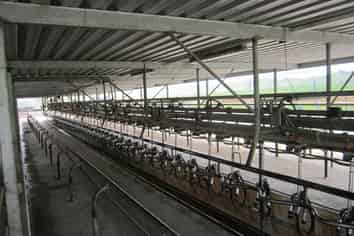 180 Manuel Road, Morrinsville